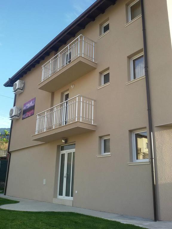 Guest House Tedi Saparewa Banja Exterior foto