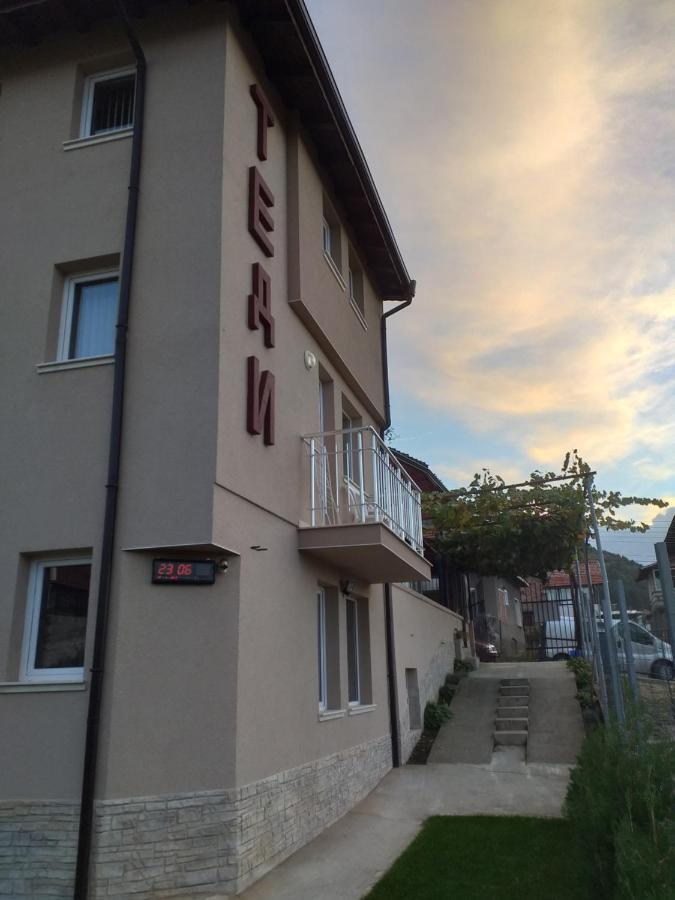 Guest House Tedi Saparewa Banja Exterior foto