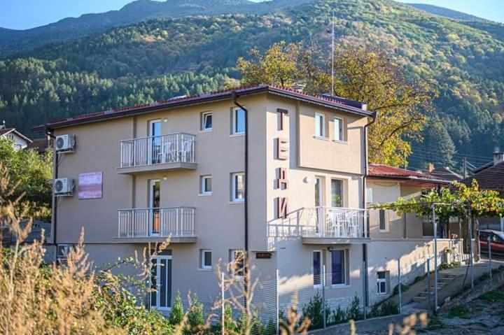 Guest House Tedi Saparewa Banja Exterior foto